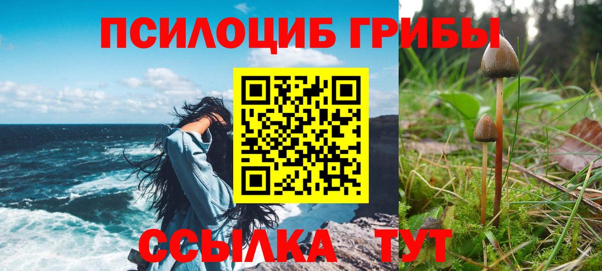 Галлюциногенные грибы мухоморы  Вход с VPN  Псилоцибиновые грибы мицелий  Коломна 